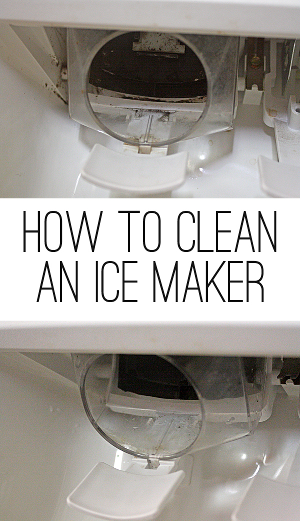 10 Steps to Clean Your Fridge Ice Maker and Water Dispenser