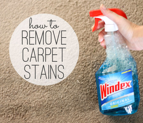 How to Easily Eliminate Stubborn Kool Aid Stains from Carpet