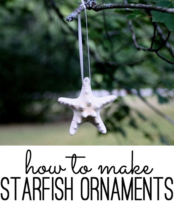starfish ornament
