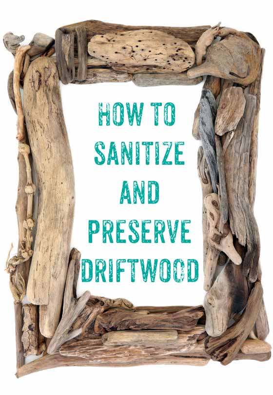 I had no idea how easy it is to clean driftwood! Definitely picking some up next time at the beach.