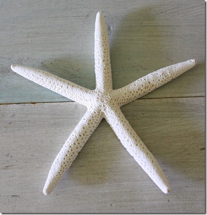 How to Make Hanging Starfish