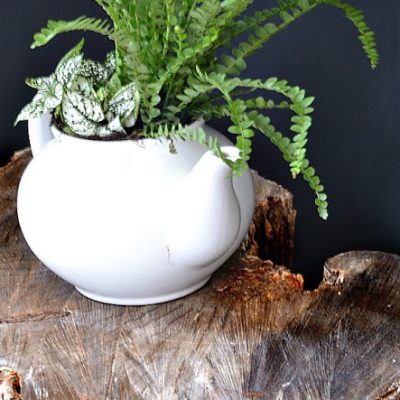 How to make: a log slice plant table.