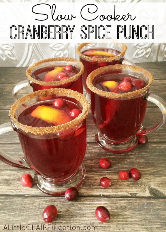 Cranberry Spice Mulled Punch