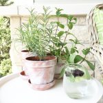 Make new terra cotta pots look old with this fun technique
