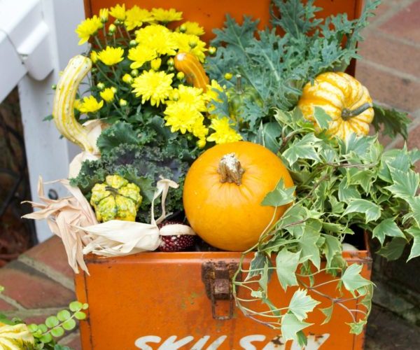 love this fall porch decorating idea - she made a fall planter from a vintage tool box