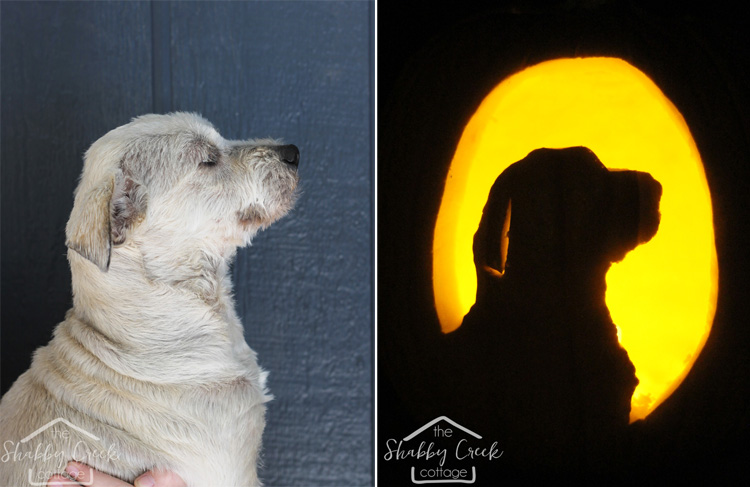 how to make your own custom pumpkin carving template - this dog pumpkin is adorable!
