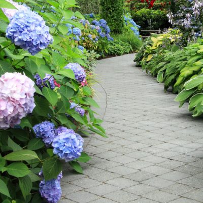 Plan your perfect garden path with these 5 steps