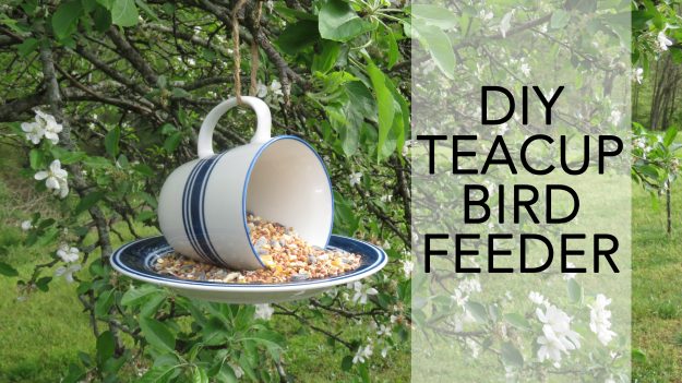 How To Make A Quick Easy Diy Teacup Bird Feeder