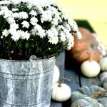 adding vintage touches to fall outdoor decorating