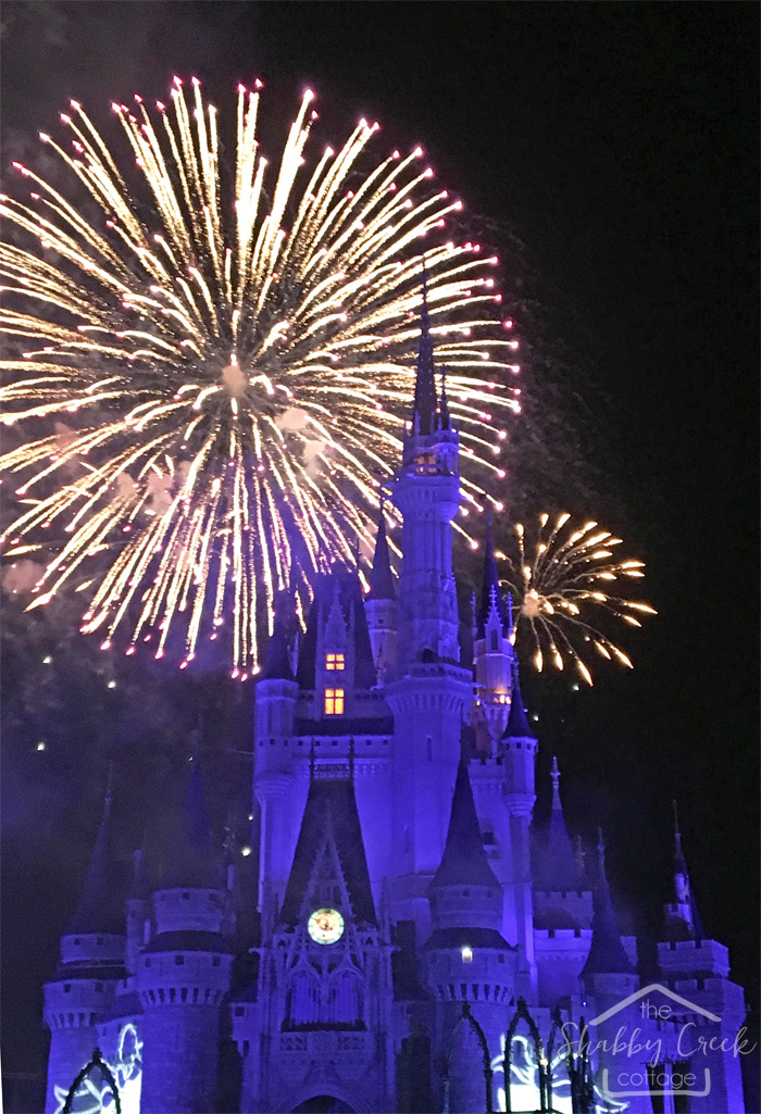 So many great tips for your first Disney World trip!