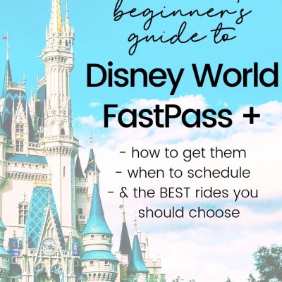 Disney World Fast Passes 101