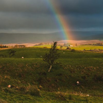 From Estrangement to Understanding